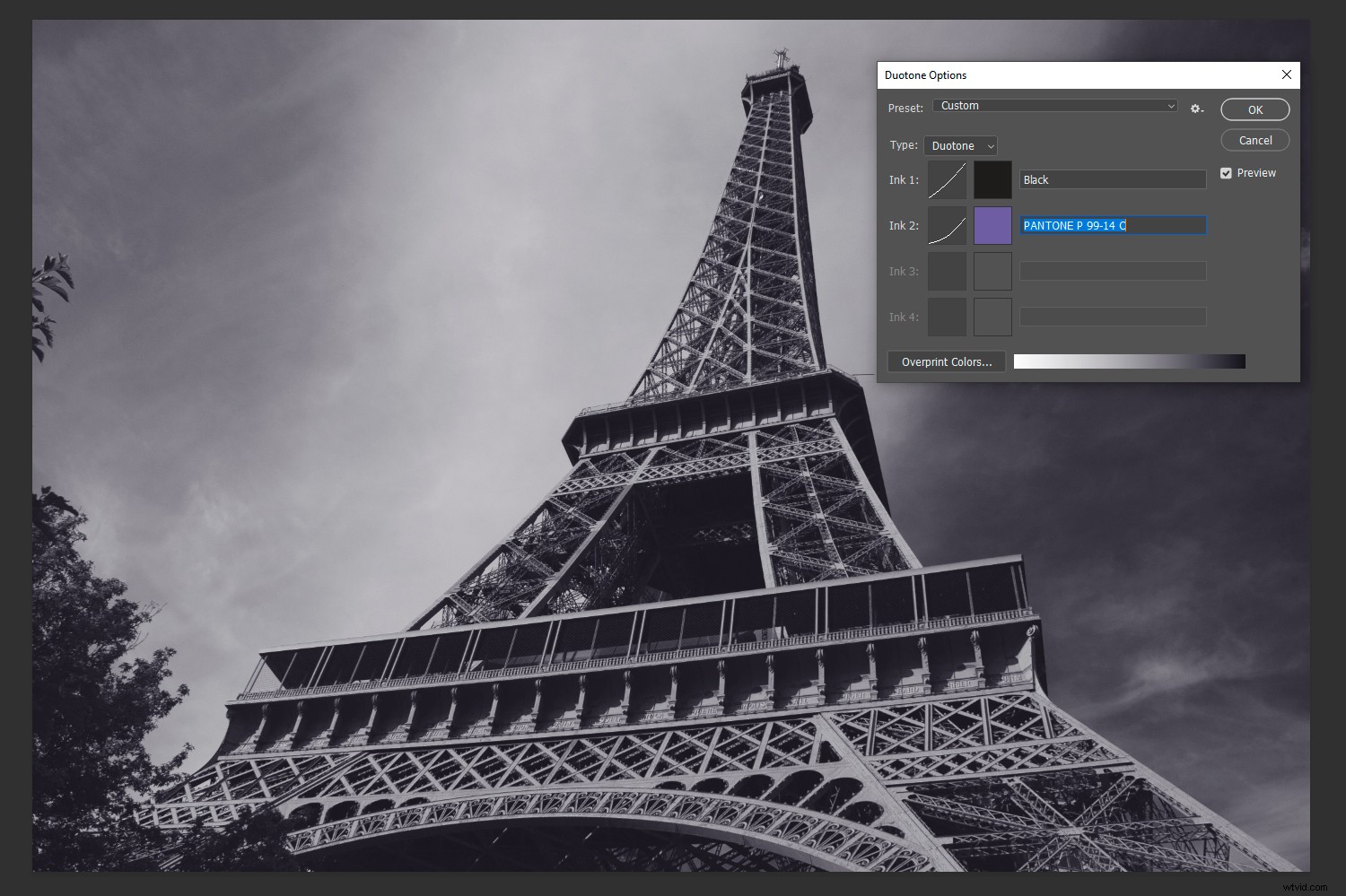 How to Create Stunning Duotones in Photoshop: 2 Proven Methods