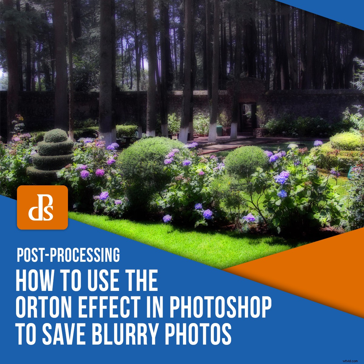 Revive Blurry Photos: Master the Orton Effect in Photoshop