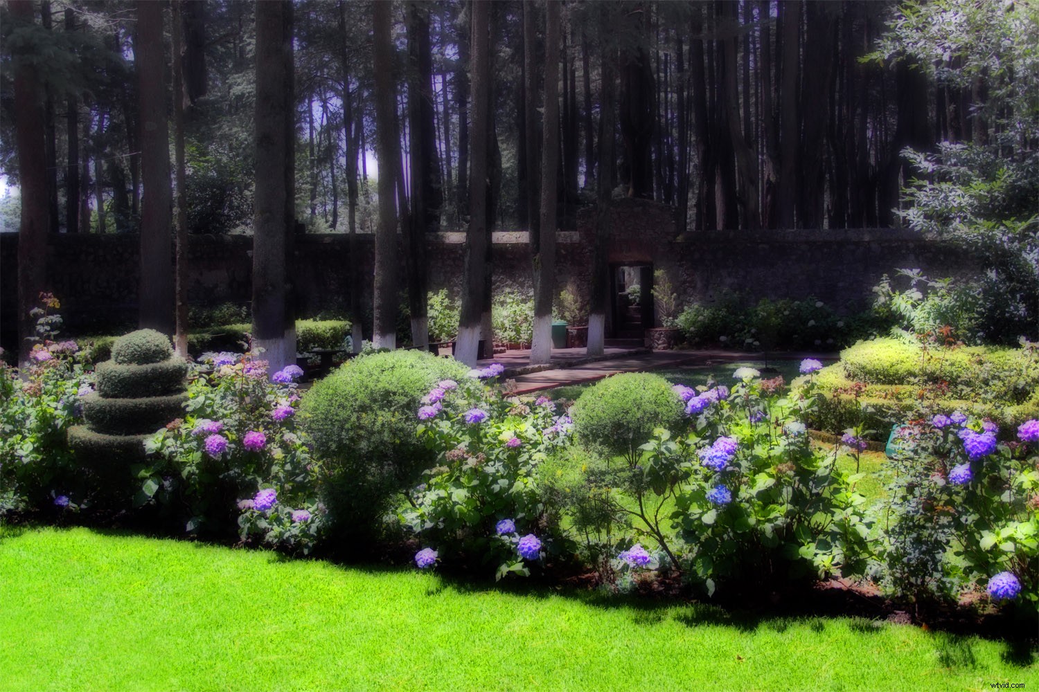 Revive Blurry Photos: Master the Orton Effect in Photoshop