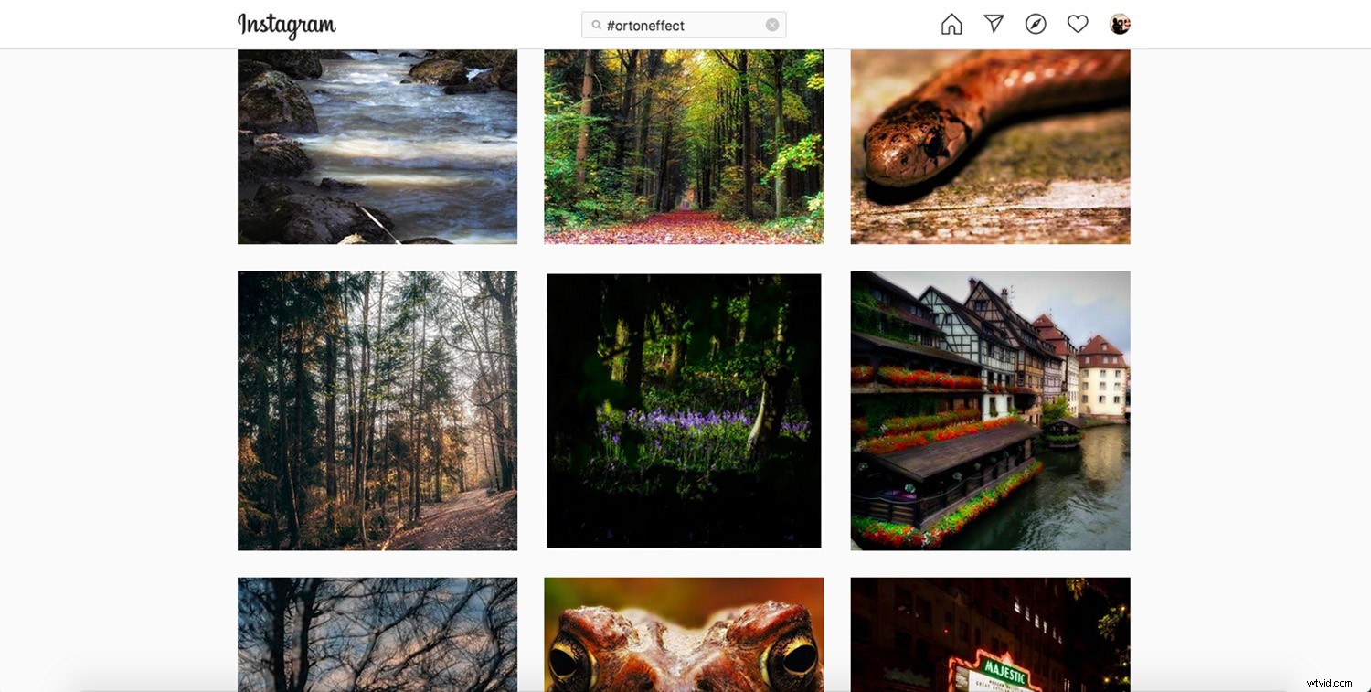 Revive Blurry Photos: Master the Orton Effect in Photoshop
