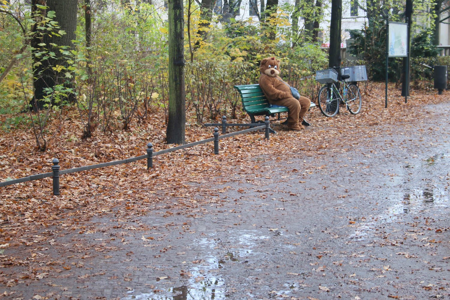 Revive Blurry Photos: Master the Orton Effect in Photoshop