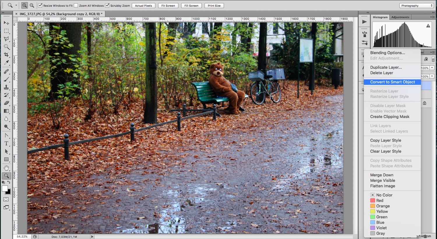 Revive Blurry Photos: Master the Orton Effect in Photoshop