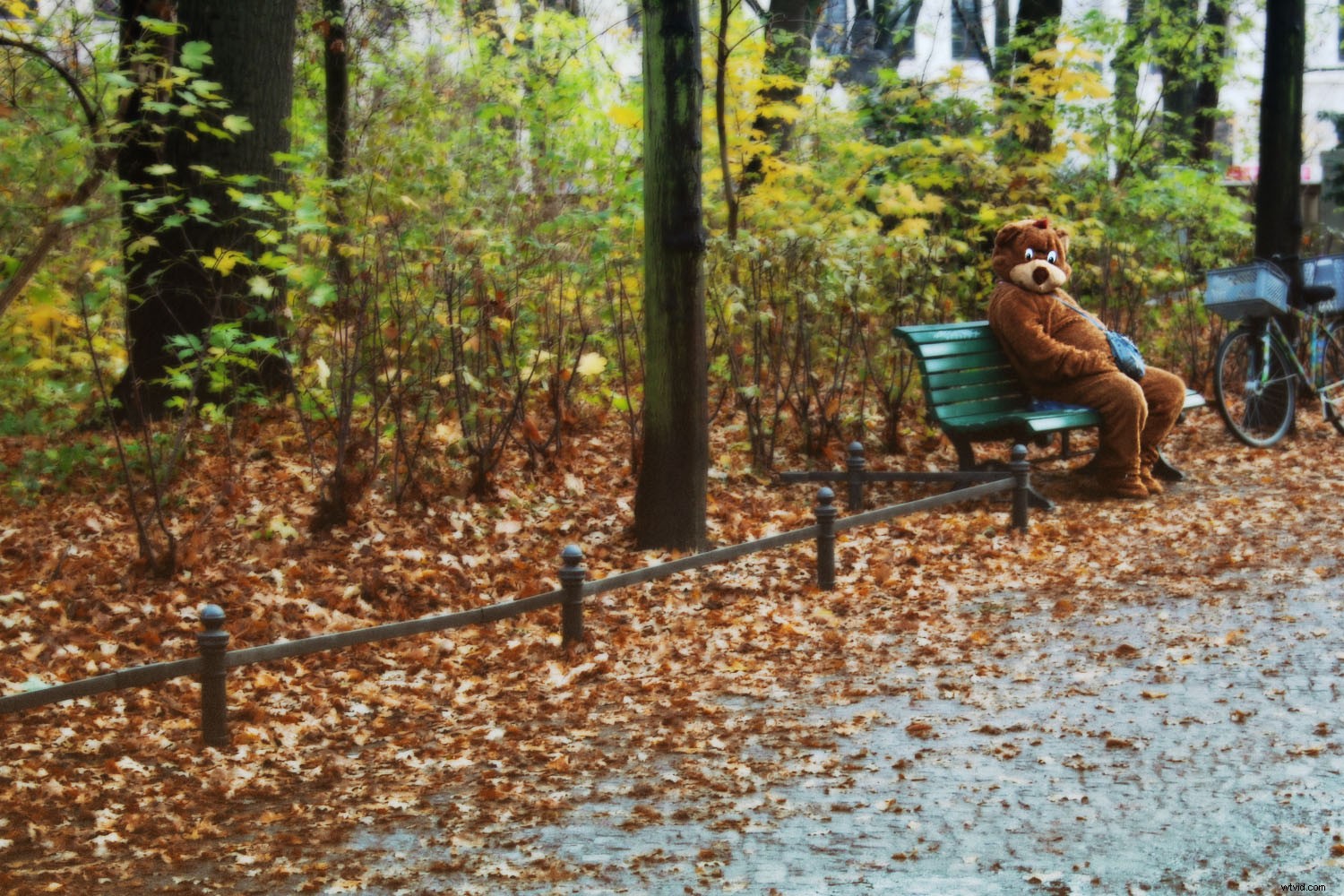 Revive Blurry Photos: Master the Orton Effect in Photoshop