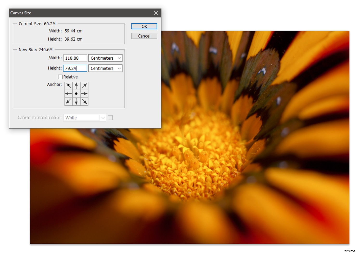 Create Stunning Mandalas in Photoshop Using Stack Modes: Step-by-Step Tutorial