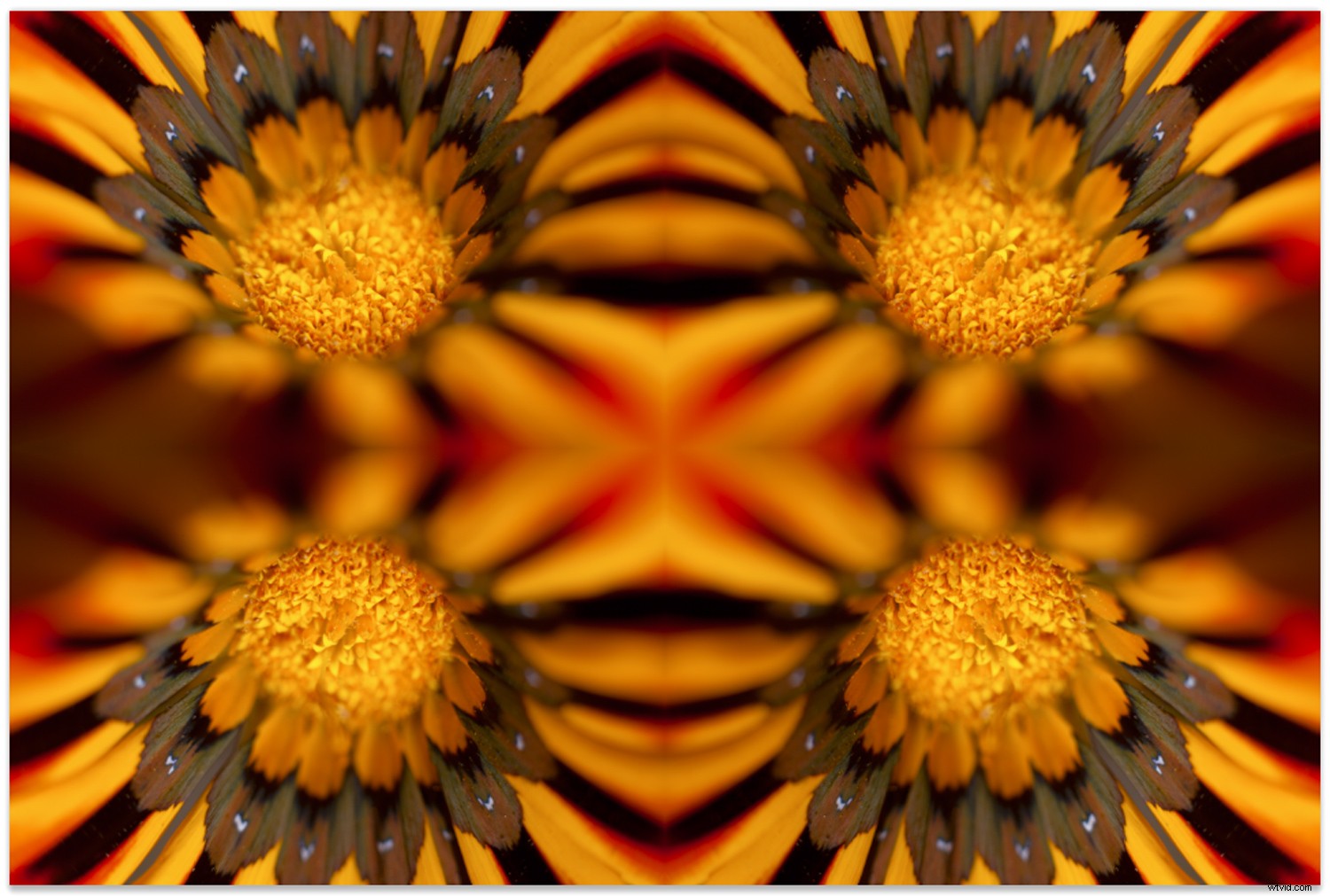 Create Stunning Mandalas in Photoshop Using Stack Modes: Step-by-Step Tutorial