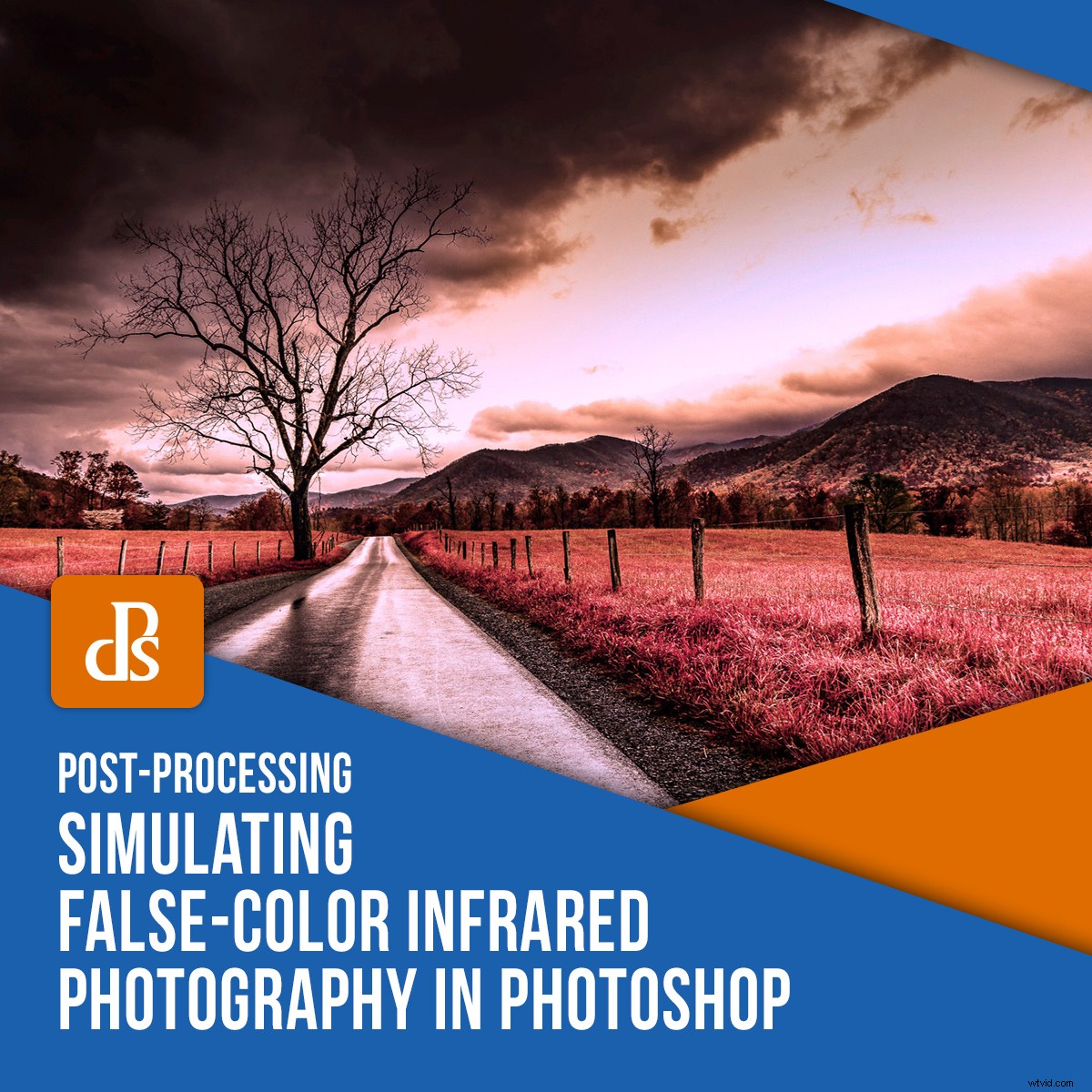 Master False-Color Infrared Photography Simulation in Photoshop: Expert Tutorial