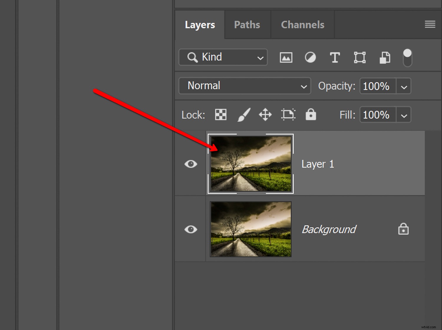 Master False-Color Infrared Photography Simulation in Photoshop: Expert Tutorial