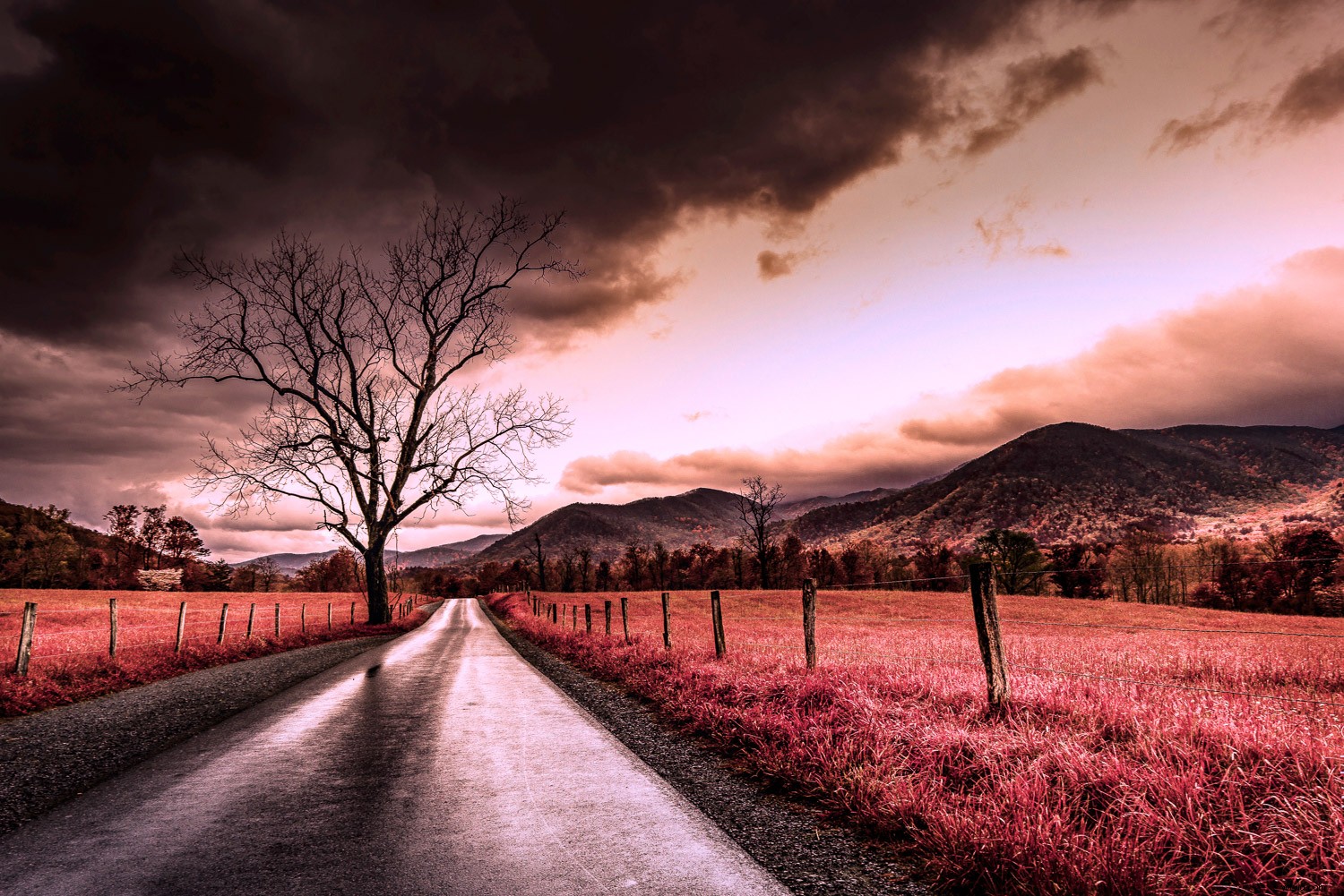 Master False-Color Infrared Photography Simulation in Photoshop: Expert Tutorial