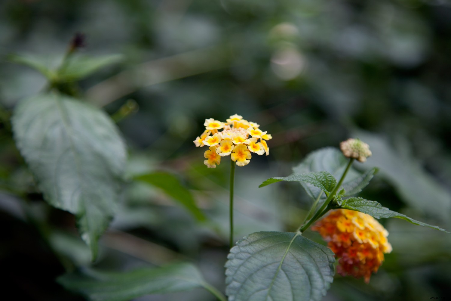 Photoshop Tutorial: Create Realistic Coffee-Stained Textures for Vintage Image Aging