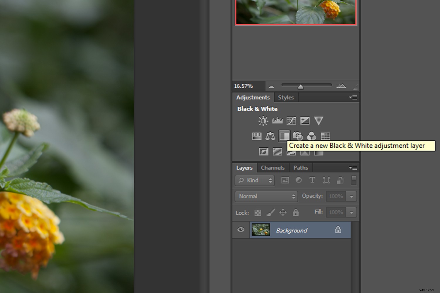 Photoshop Tutorial: Create Realistic Coffee-Stained Textures for Vintage Image Aging
