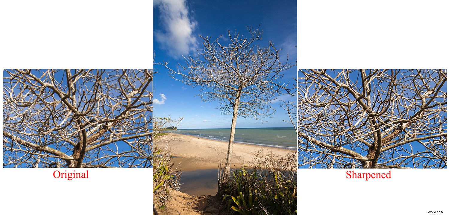 Master Photoshop Sharpening for Beginners: Unsharp Mask, High Pass & Smart Sharpen Guide