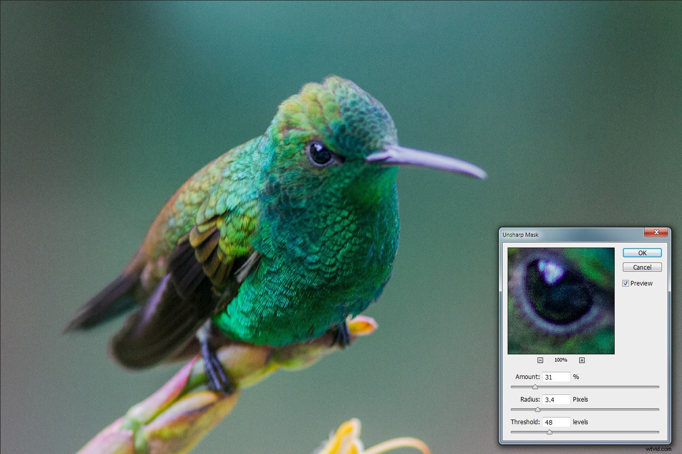 Master Photoshop Sharpening for Beginners: Unsharp Mask, High Pass & Smart Sharpen Guide