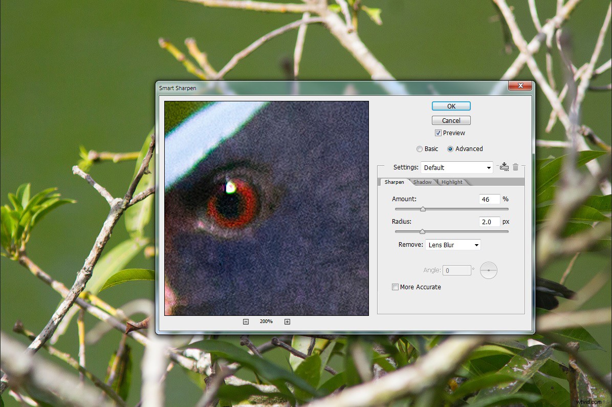 Master Photoshop Sharpening for Beginners: Unsharp Mask, High Pass & Smart Sharpen Guide