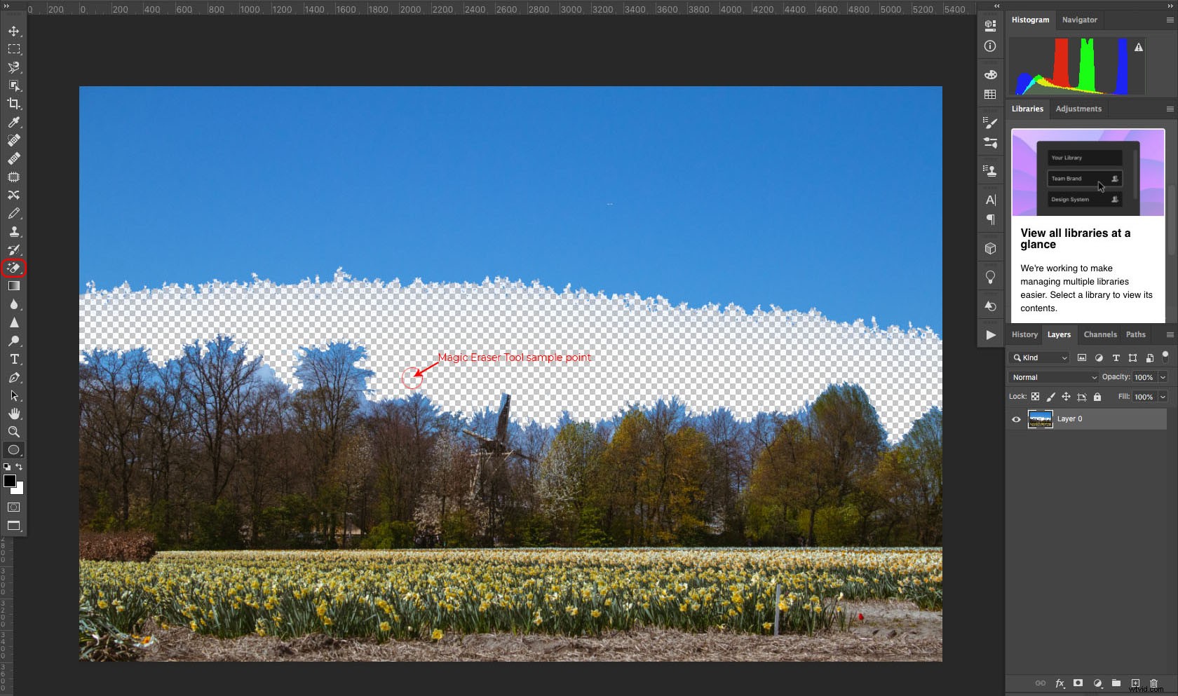 Master the Photoshop Eraser Tool: Complete Guide, Pro Tips & Alternatives
