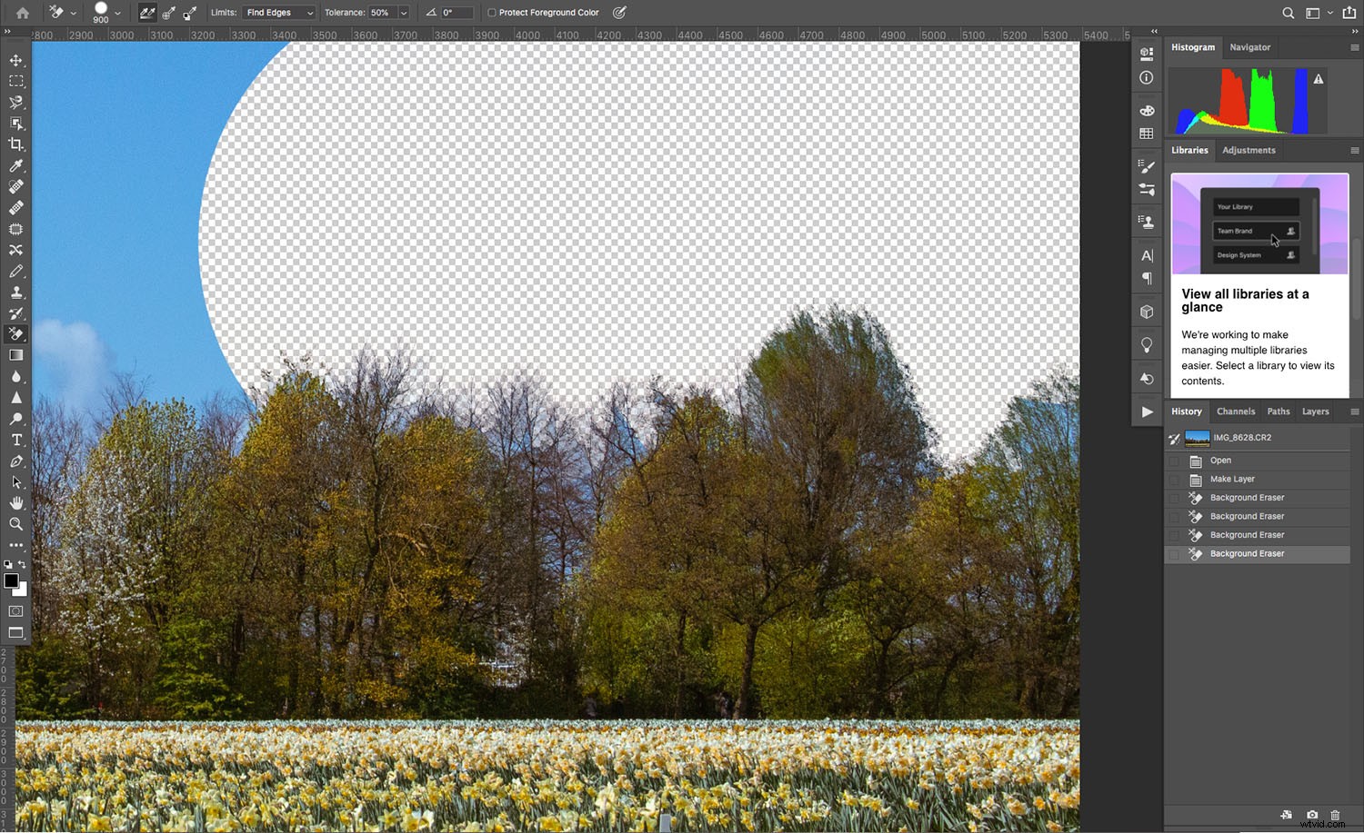 Master the Photoshop Eraser Tool: Complete Guide, Pro Tips & Alternatives