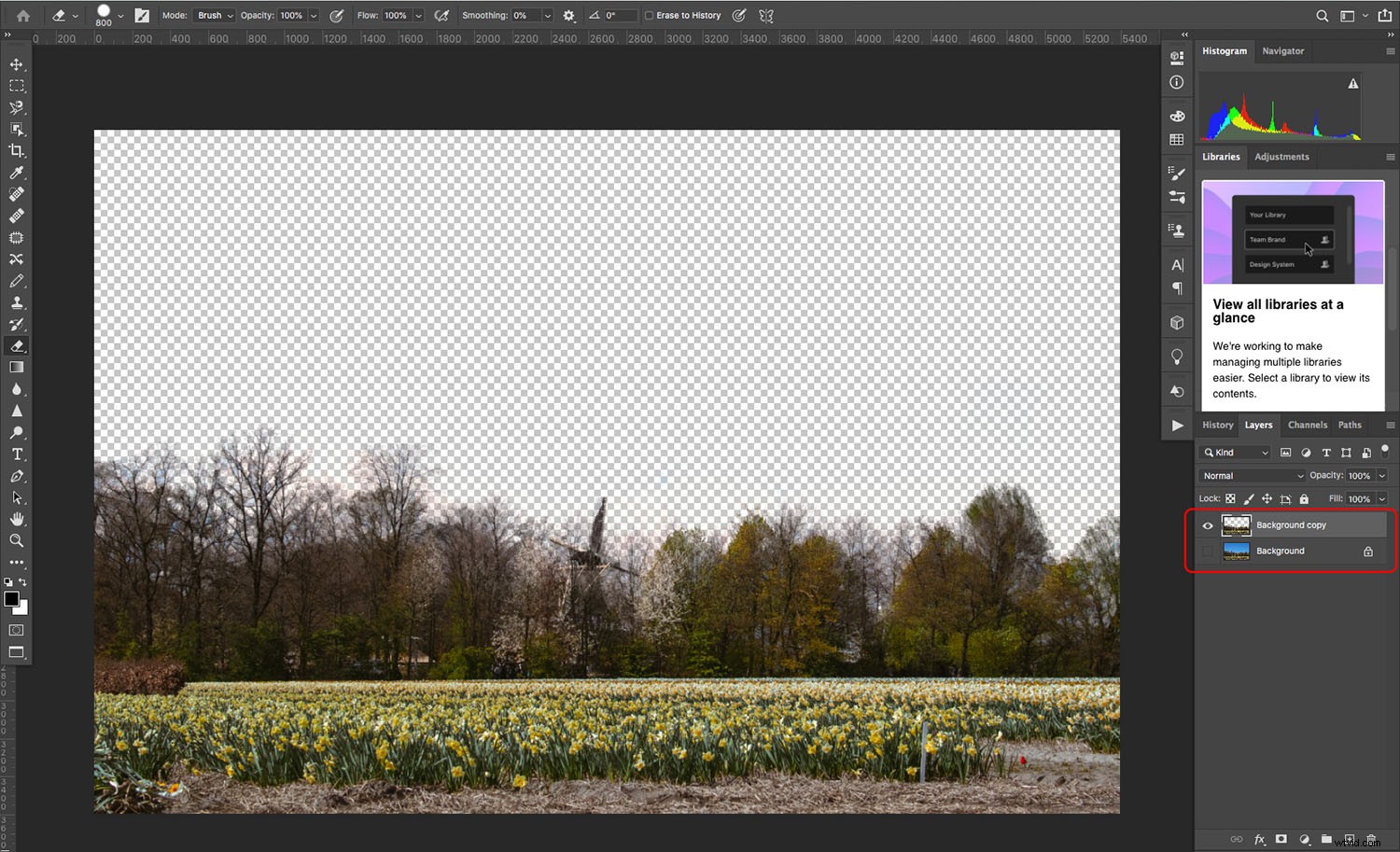 Master the Photoshop Eraser Tool: Complete Guide, Pro Tips & Alternatives