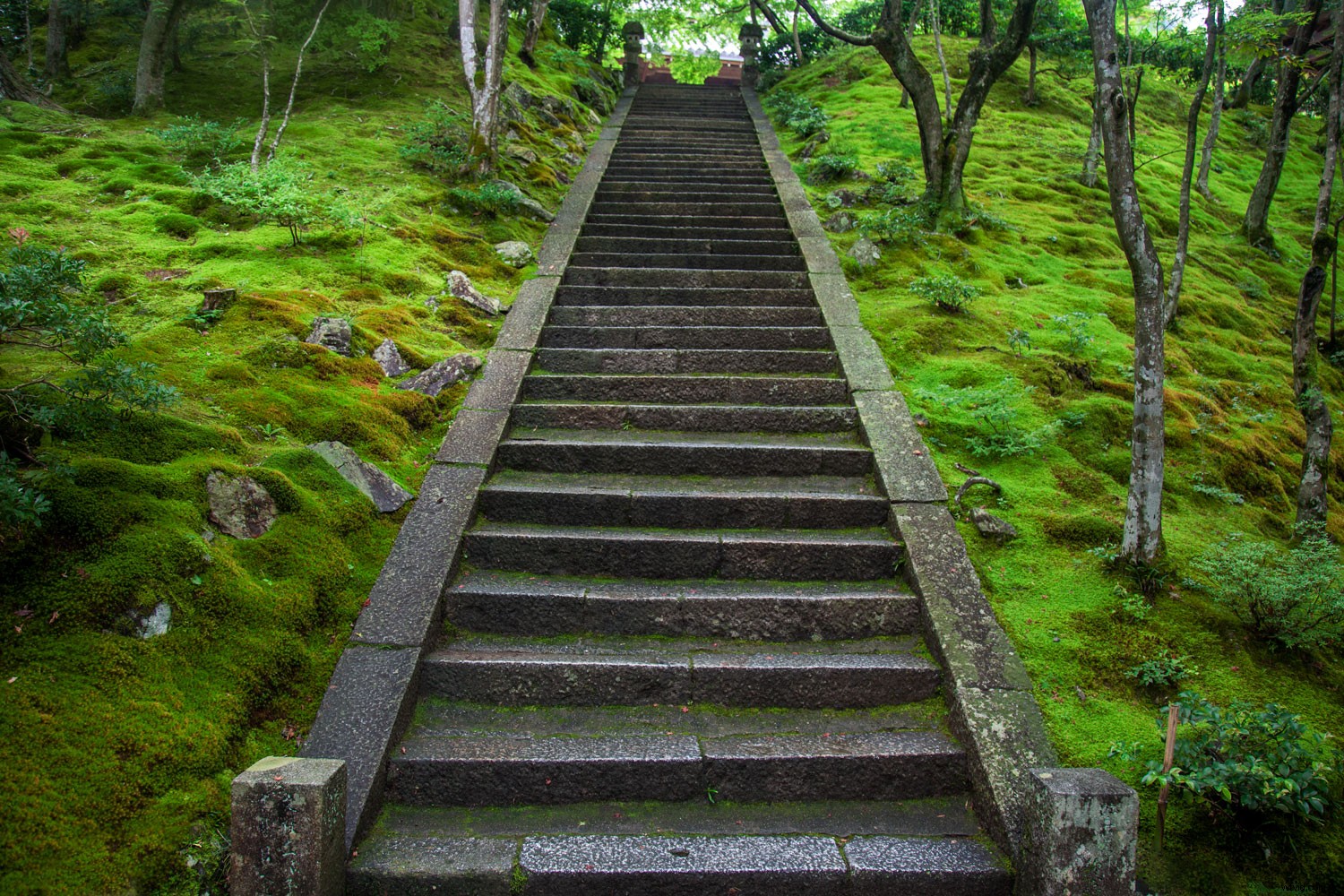 How to Blur Background in Photoshop: Expert Step-by-Step Tutorial