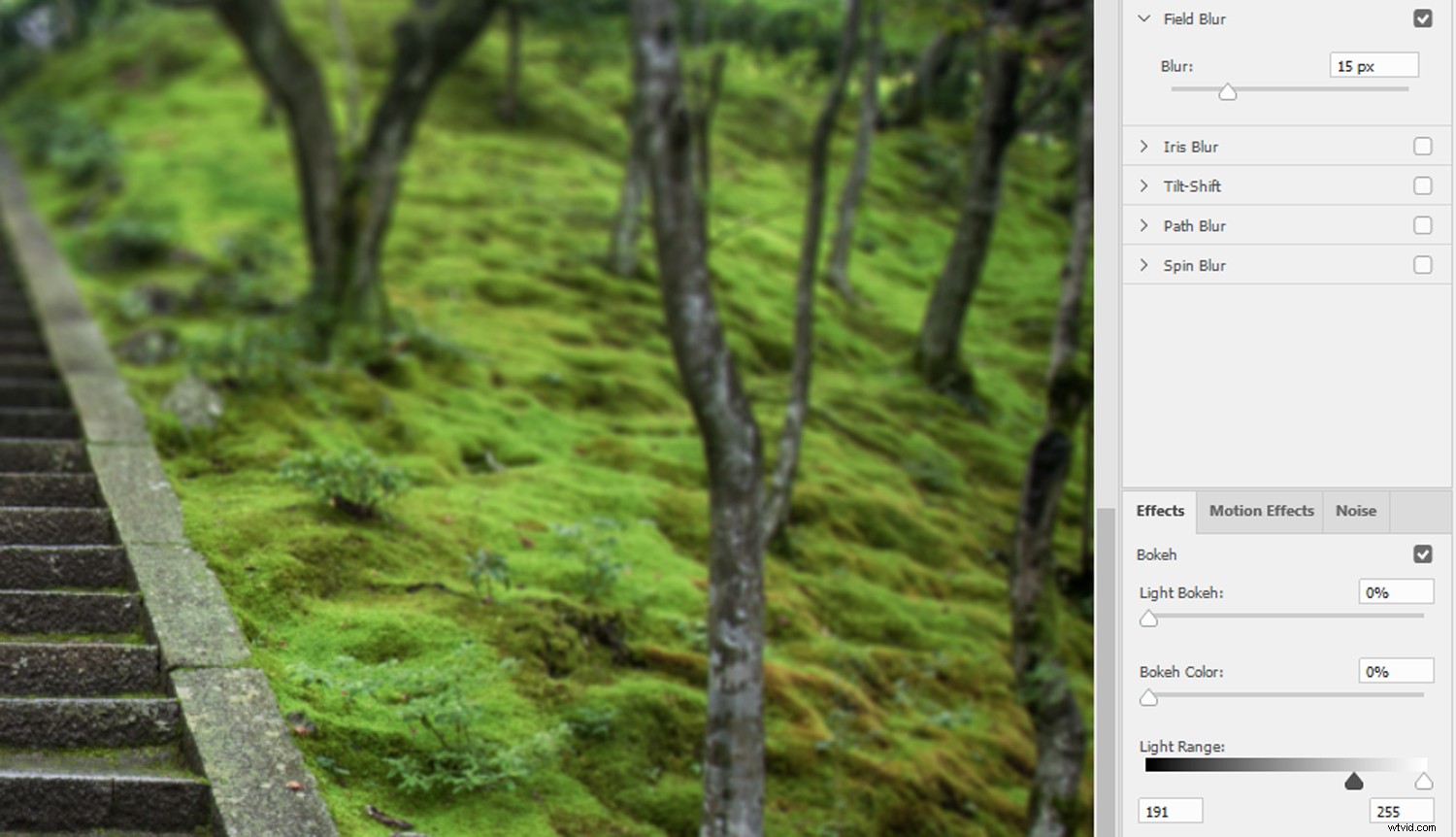 How to Blur Background in Photoshop: Expert Step-by-Step Tutorial