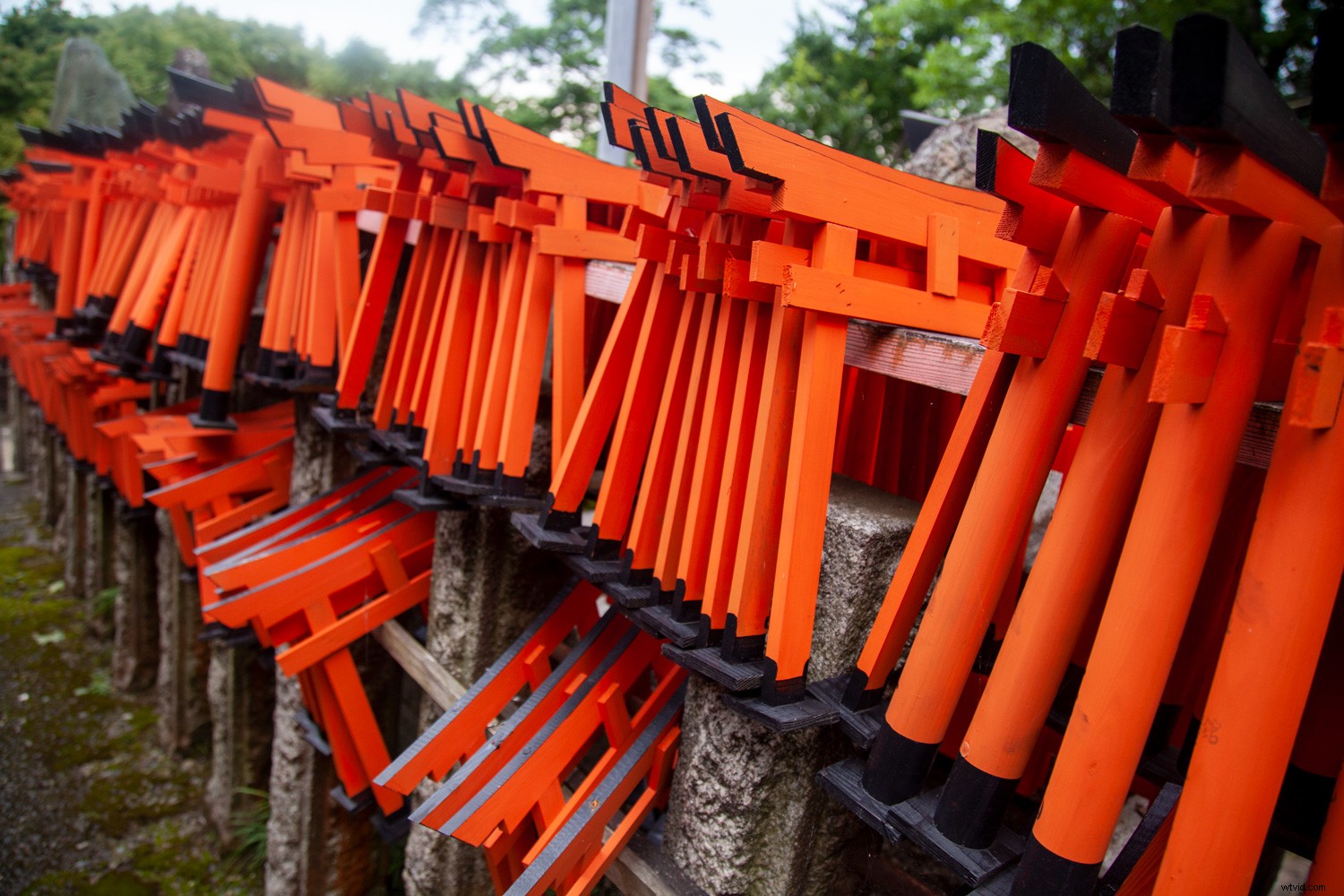 How to Blur Background in Photoshop: Expert Step-by-Step Tutorial