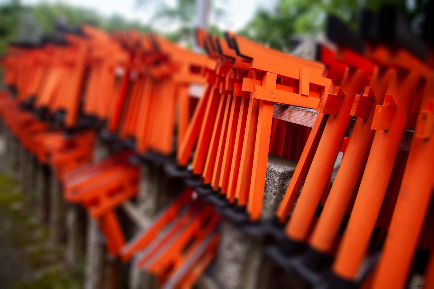 How to Blur Background in Photoshop: Expert Step-by-Step Tutorial