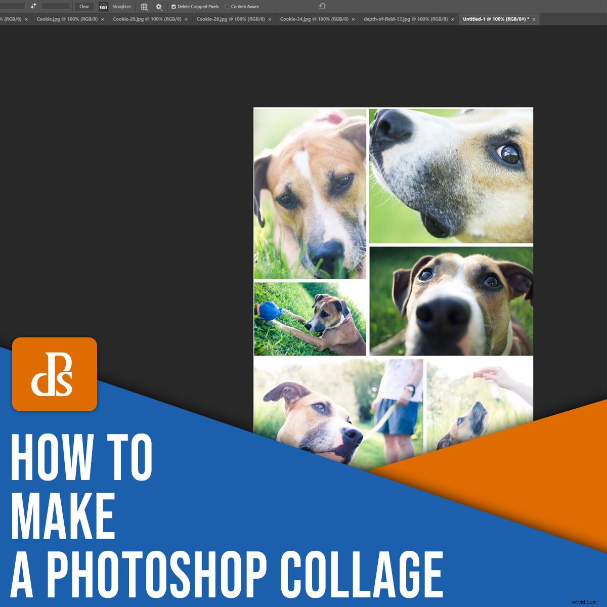 Create Stunning Photoshop Collages: 9 Easy Step-by-Step Guide