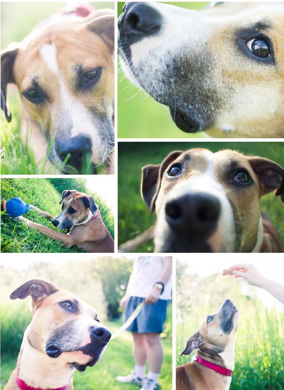 Create Stunning Photoshop Collages: 9 Easy Step-by-Step Guide