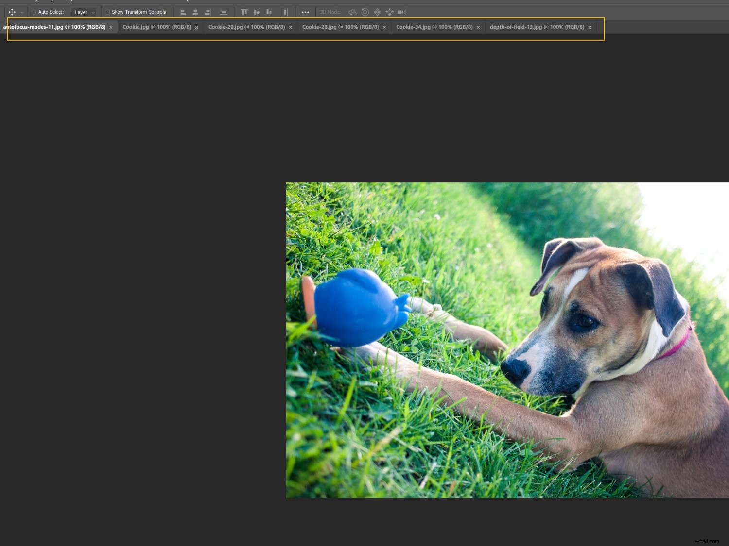 Create Stunning Photoshop Collages: 9 Easy Step-by-Step Guide