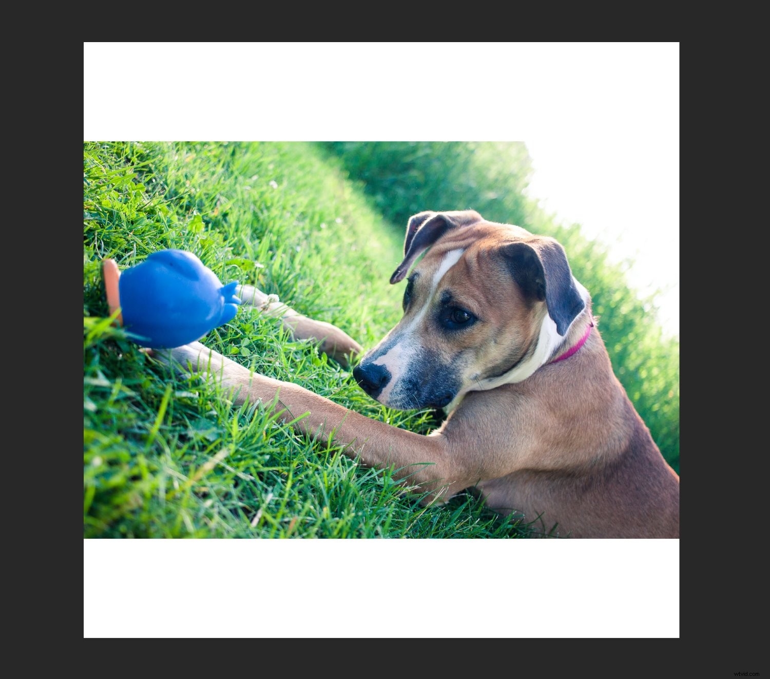 Create Stunning Photoshop Collages: 9 Easy Step-by-Step Guide