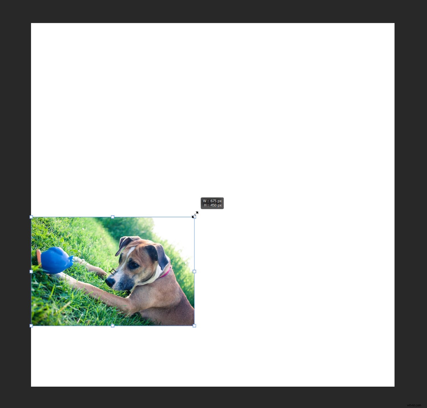 Create Stunning Photoshop Collages: 9 Easy Step-by-Step Guide