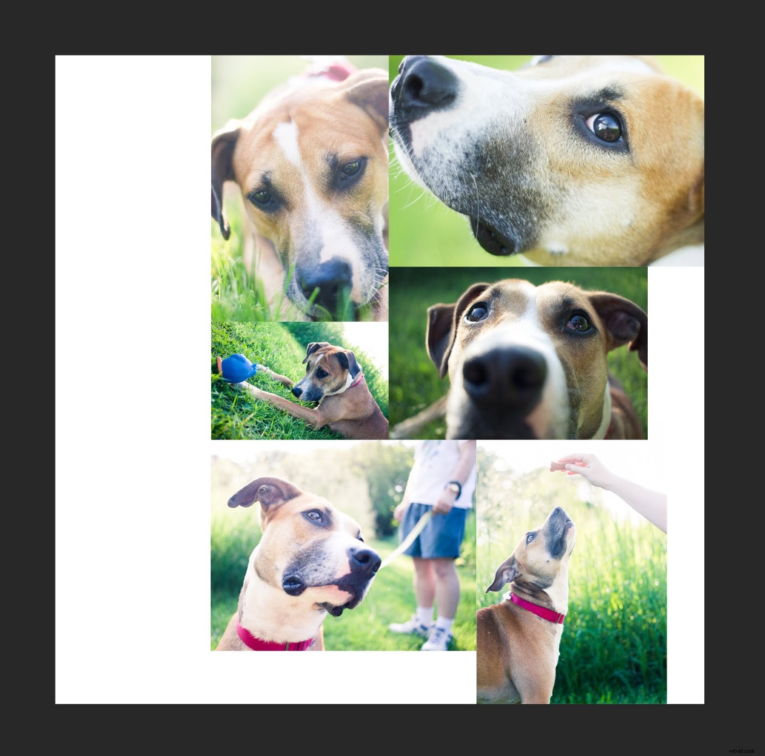 Create Stunning Photoshop Collages: 9 Easy Step-by-Step Guide