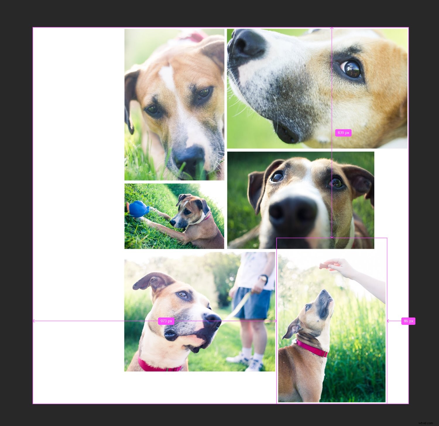 Create Stunning Photoshop Collages: 9 Easy Step-by-Step Guide