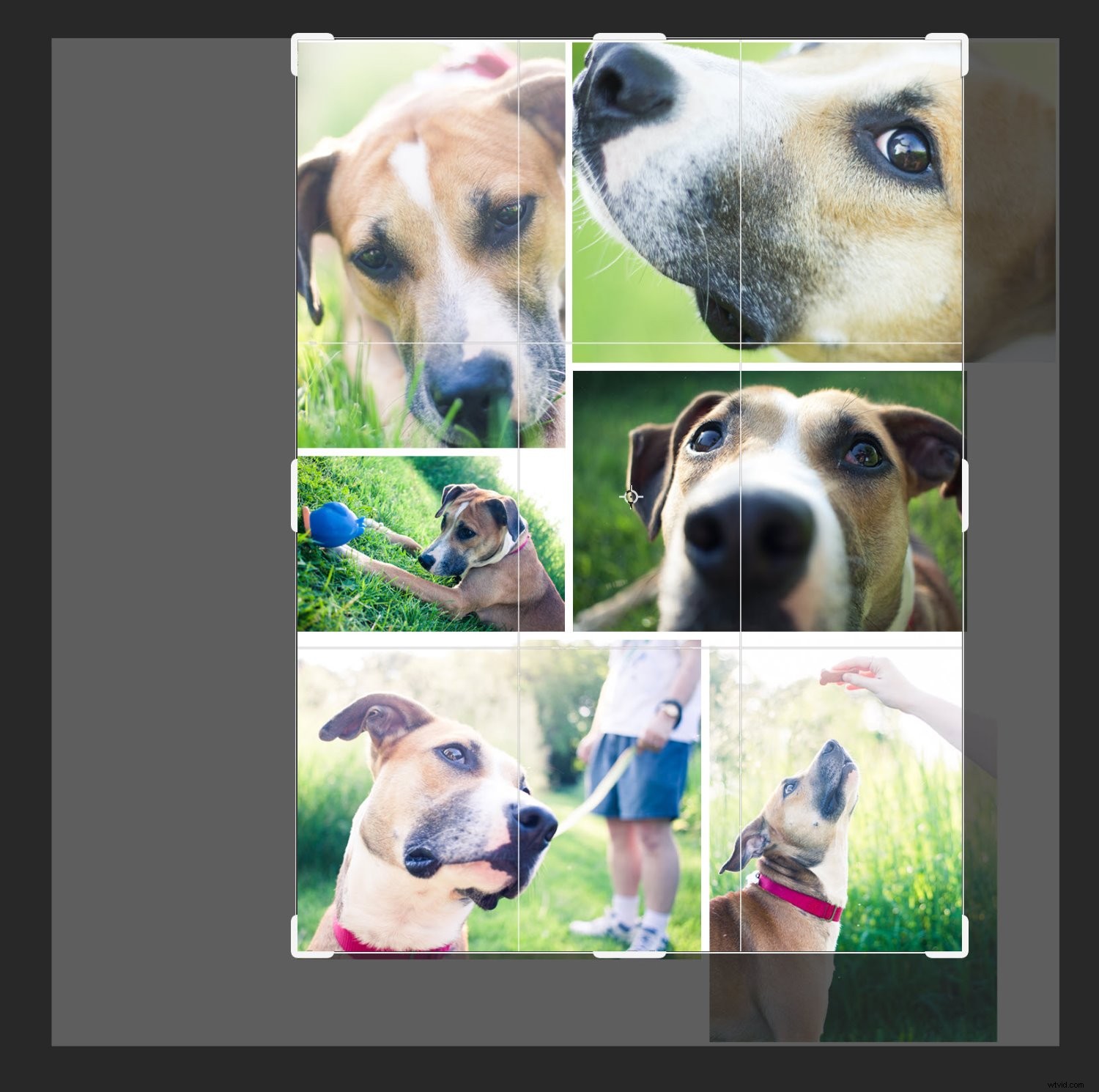 Create Stunning Photoshop Collages: 9 Easy Step-by-Step Guide