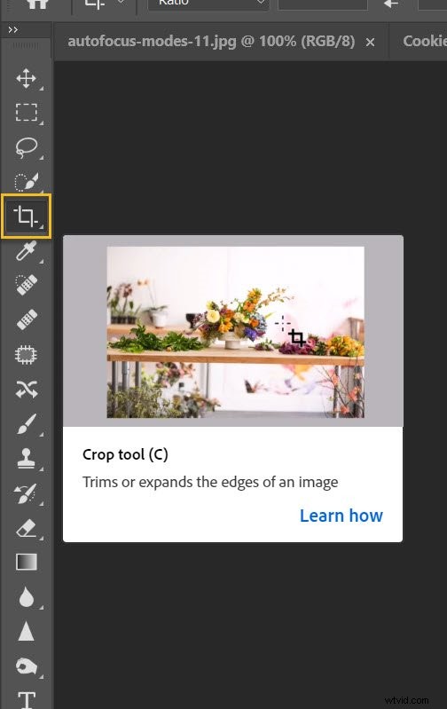 Create Stunning Photoshop Collages: 9 Easy Step-by-Step Guide
