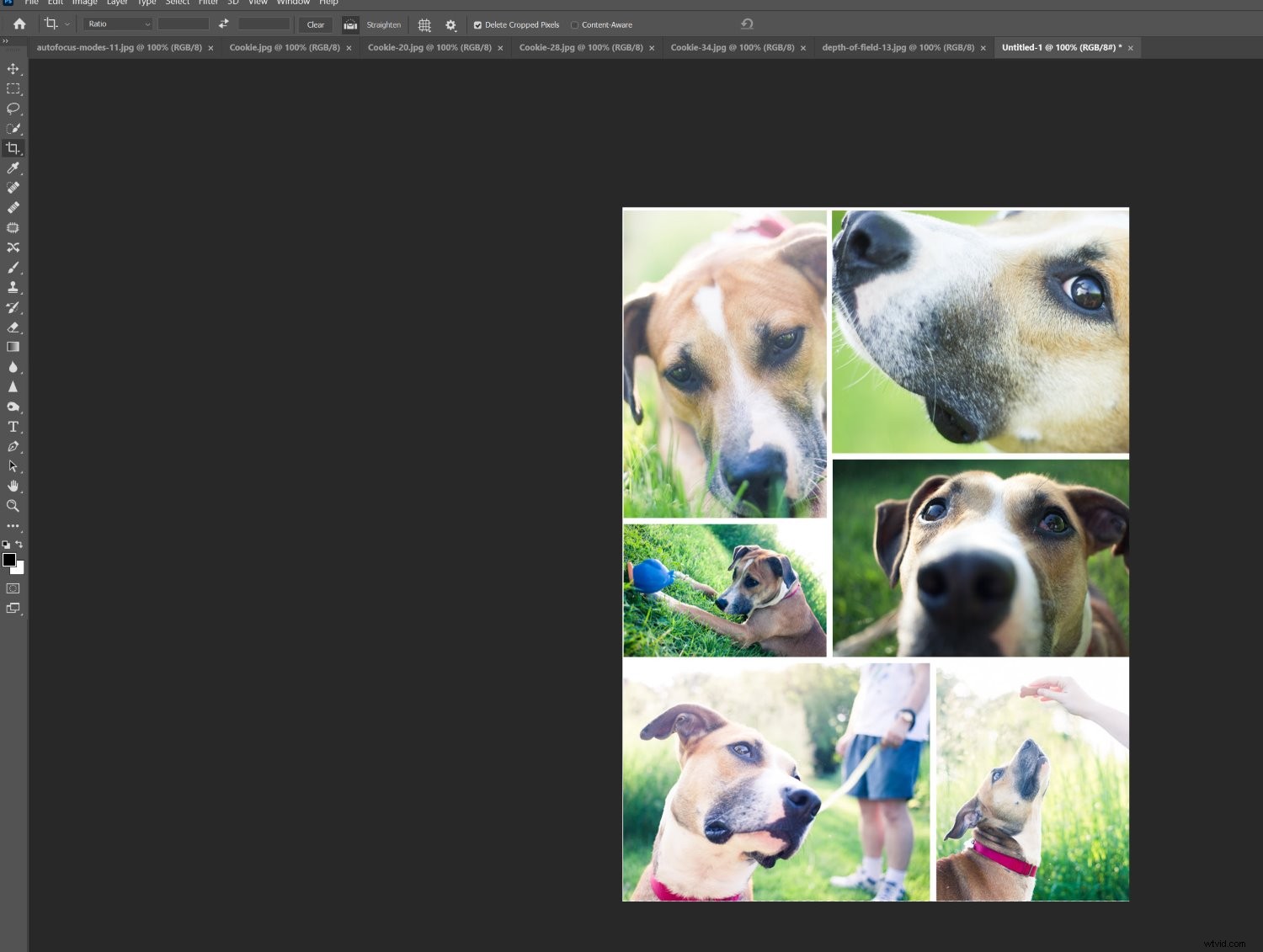 Create Stunning Photoshop Collages: 9 Easy Step-by-Step Guide