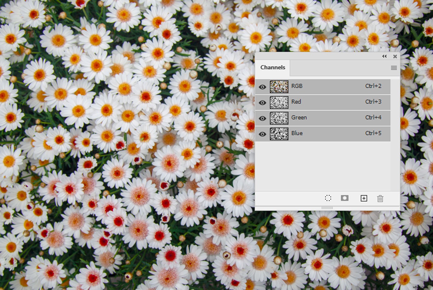 Create Stunning Glitch Effects in Photoshop: Easy Step-by-Step Guide