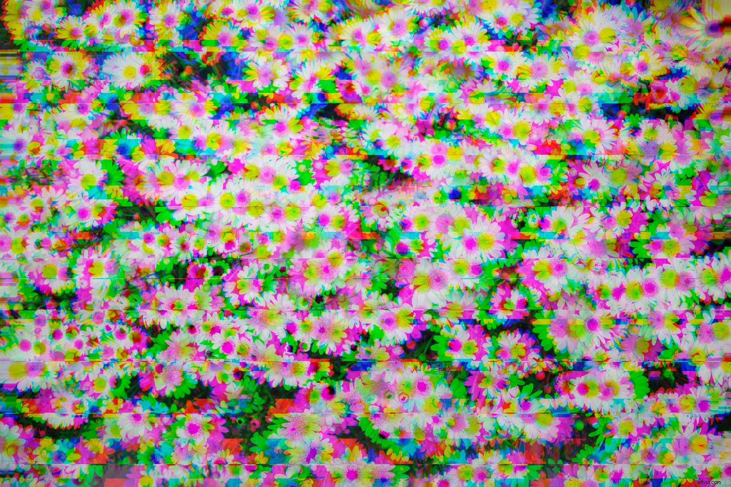 Create Stunning Glitch Effects in Photoshop: Easy Step-by-Step Guide