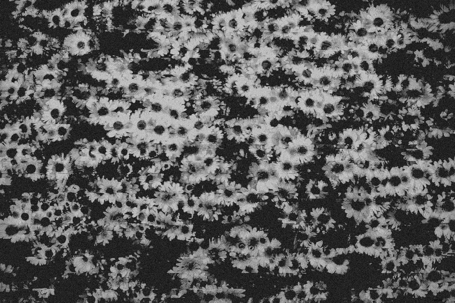 Create Stunning Glitch Effects in Photoshop: Easy Step-by-Step Guide