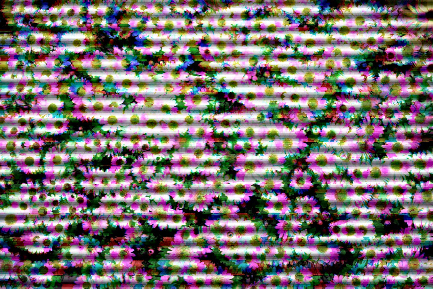 Create Stunning Glitch Effects in Photoshop: Easy Step-by-Step Guide