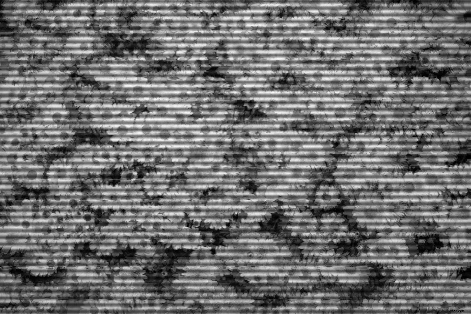 Create Stunning Glitch Effects in Photoshop: Easy Step-by-Step Guide