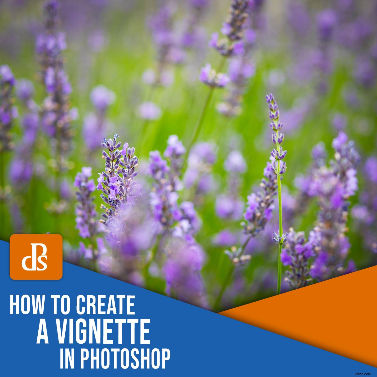 How to Create a Professional Vignette Effect in Photoshop: Step-by-Step Guide