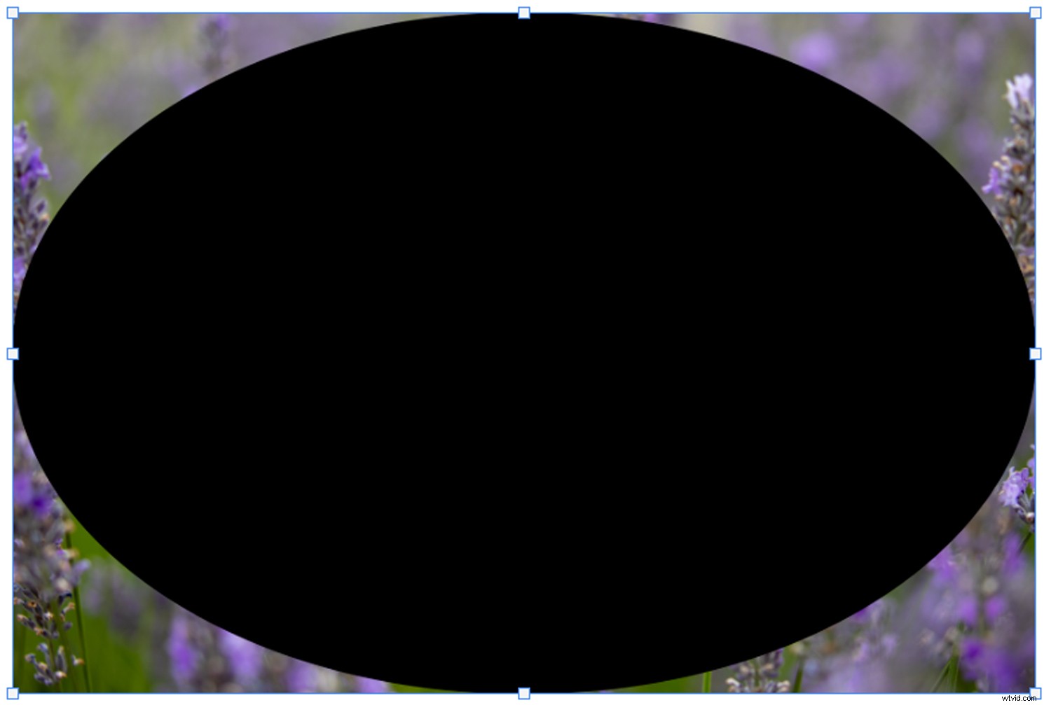 How to Create a Professional Vignette Effect in Photoshop: Step-by-Step Guide