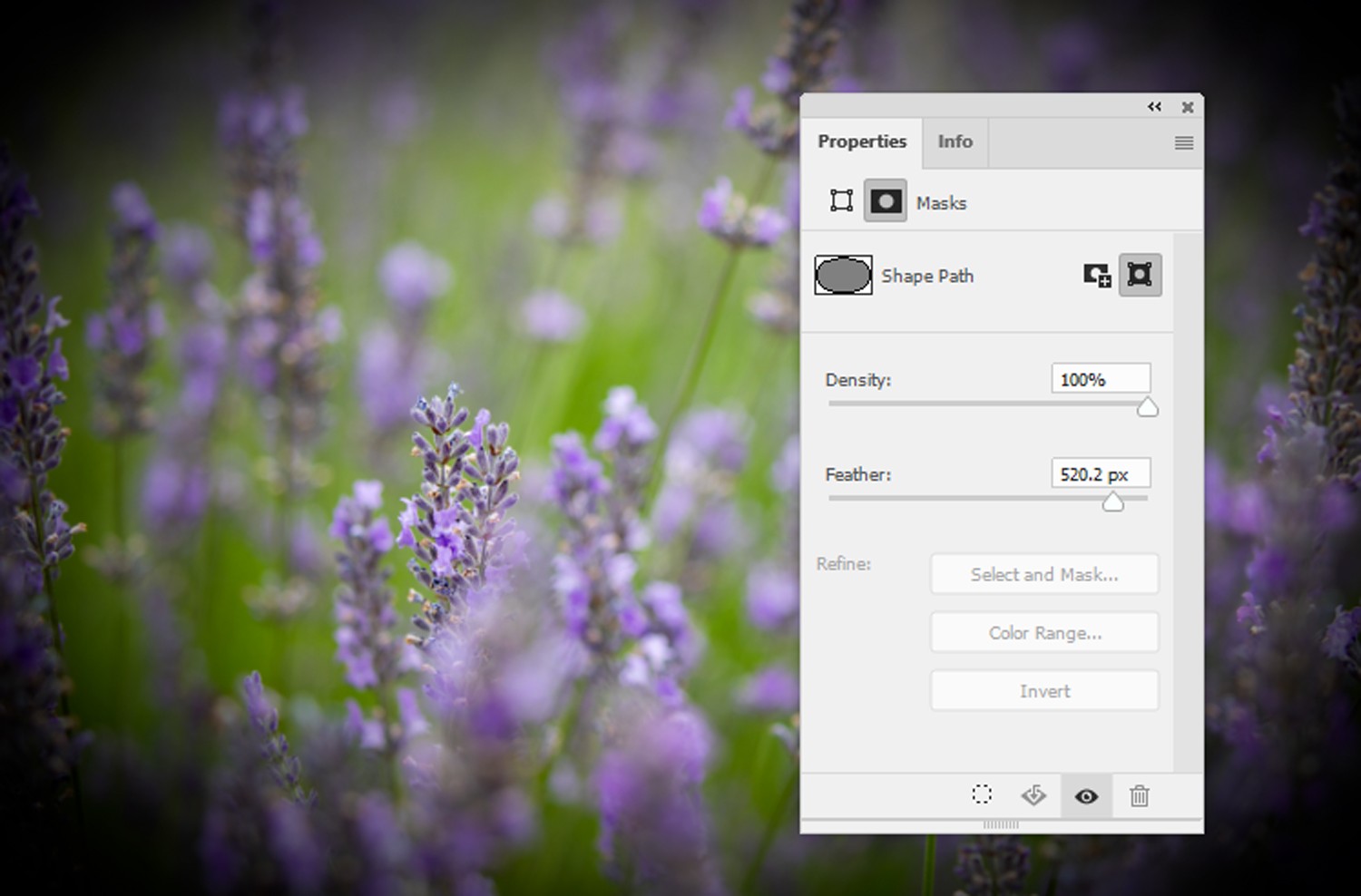 How to Create a Professional Vignette Effect in Photoshop: Step-by-Step Guide