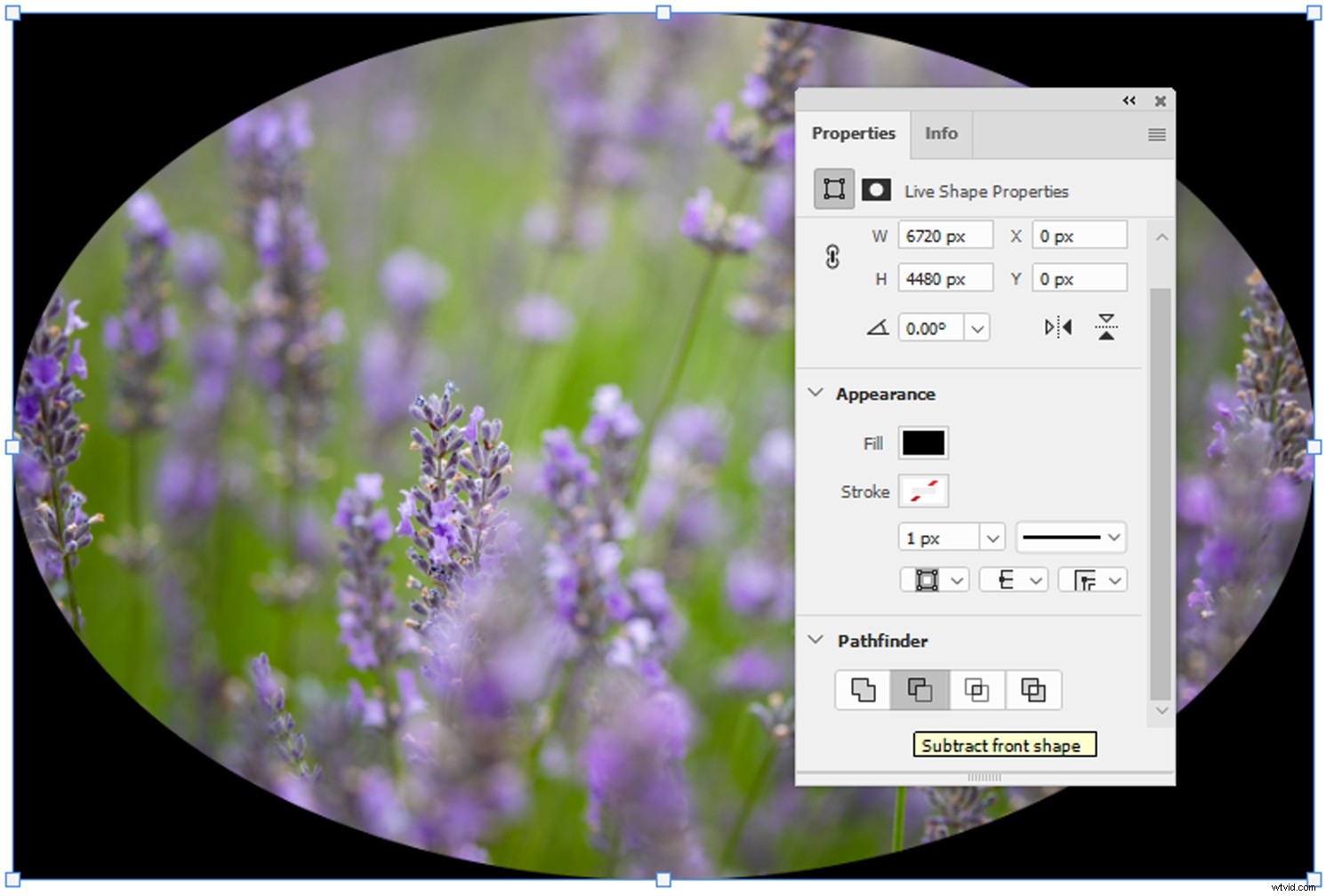 How to Create a Professional Vignette Effect in Photoshop: Step-by-Step Guide