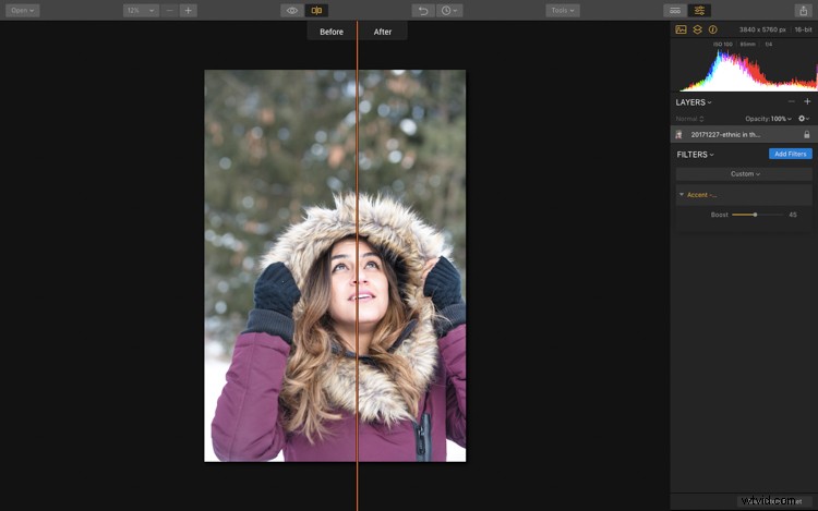 Master Retro Photo Effects: Step-by-Step Guide with Luminar AI