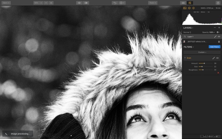 Master Retro Photo Effects: Step-by-Step Guide with Luminar AI