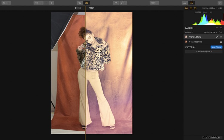Master Retro Photo Effects: Step-by-Step Guide with Luminar AI