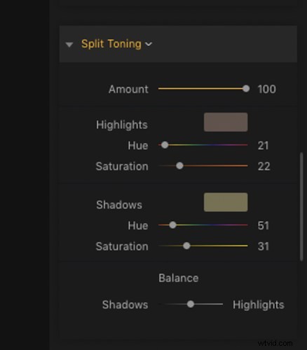 Master Retro Photo Effects: Step-by-Step Guide with Luminar AI