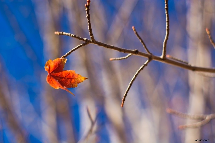 10 Hidden Luminar 2018 Features Every Photographer Should Discover