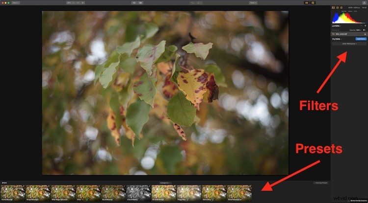 Ultimate Guide: Master and Share One-Click Presets in Luminar