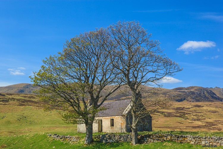 Master Creative Texture Overlays in Luminar: Elevate Your Photos with Layers